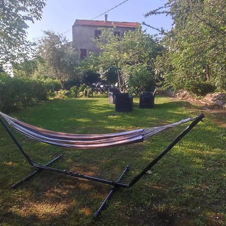 Apartament Sole E Ventu 50Qm San-Giovanni-di-Moriani Zewnętrze zdjęcie