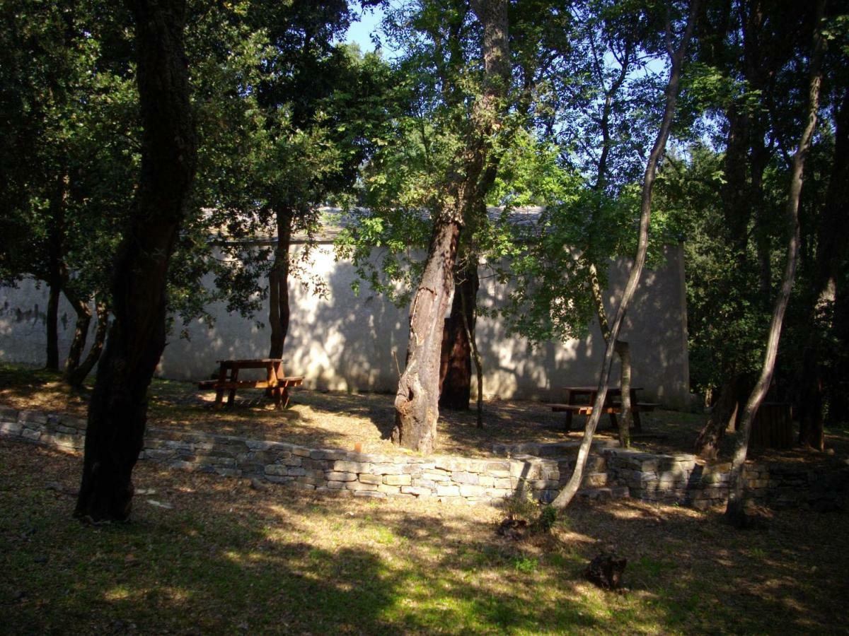 Apartament Sole E Ventu 50Qm San-Giovanni-di-Moriani Zewnętrze zdjęcie
